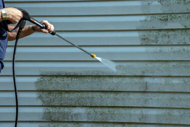 Best Driveway Pressure Washing  in English Creek, NJ