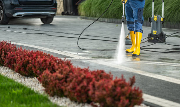 Best Gutter Cleaning  in English Creek, NJ
